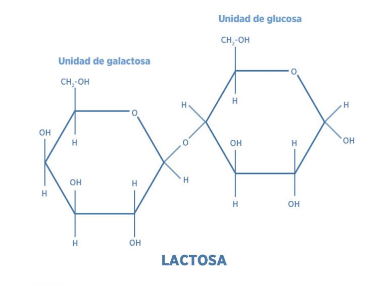 La Lactosa No Es Un Az Car M S Un Vaso De Ciencia