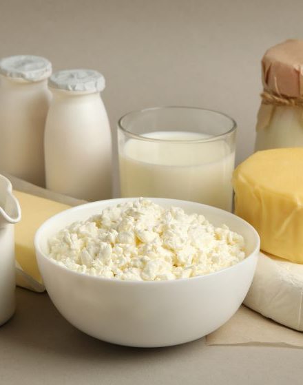 productos lacteos